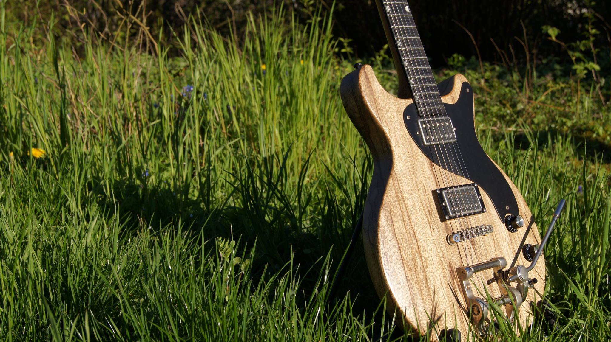 D CAT ELARA Black Limba